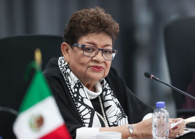 Comparecerá el 27 en el Senado la Fiscal Ernestina Godoy