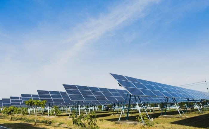 Malva New Energy proyecta en Veracruz una planta solar