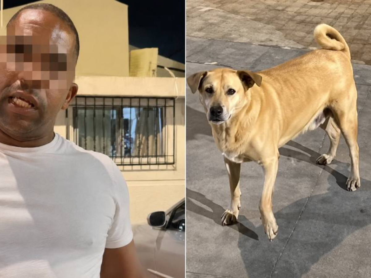 Cubano agrede a mexicano en Cancún y casi lo linchan; interviene policía y le aparece orden de detención en EU