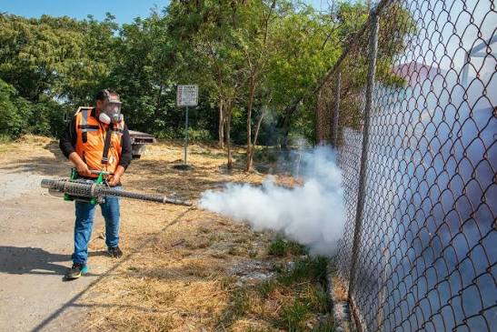 Sonora, Sinaloa, Tabasco, Veracruz y BCS, concentran 80% de casos por dengue