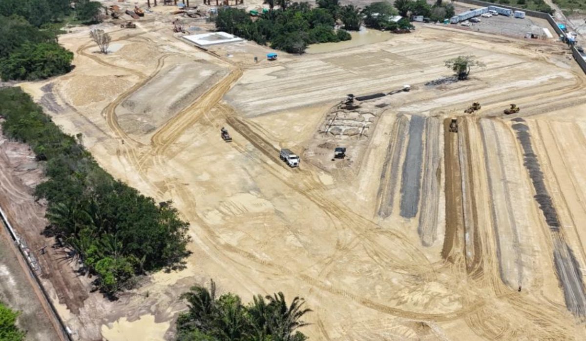 Construcción de planta de gas en Tuxpan dañará a fauna local